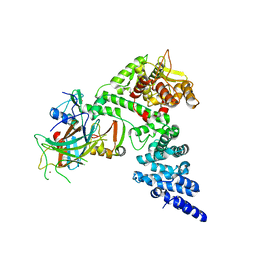 BU of 8gcr by Molmil