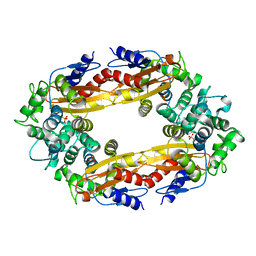 BU of 8gcs by Molmil