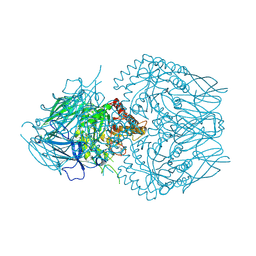 BU of 8geo by Molmil