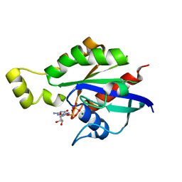 BU of 8gi3 by Molmil