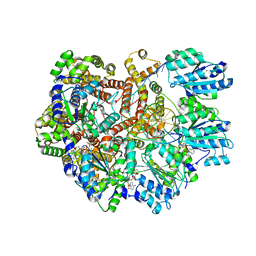 BU of 8gj3 by Molmil