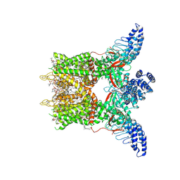 BU of 8gka by Molmil