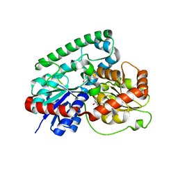 BU of 8gkn by Molmil