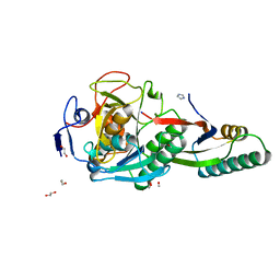 BU of 8gko by Molmil