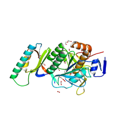 BU of 8gkp by Molmil