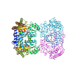 BU of 8gkw by Molmil