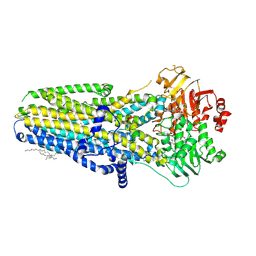 BU of 8gls by Molmil