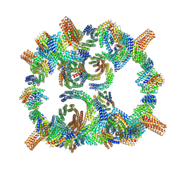 BU of 8glt by Molmil