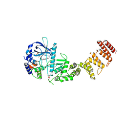 BU of 8gm5 by Molmil