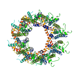 BU of 8gmp by Molmil