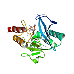 BU of 8gpc by Molmil