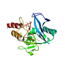 BU of 8gpd by Molmil