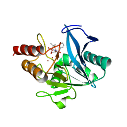 BU of 8gpe by Molmil