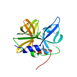 BU of 8gph by Molmil