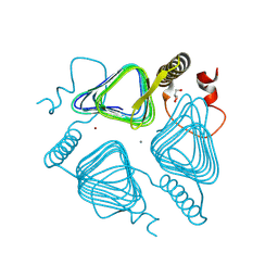 BU of 8gpm by Molmil