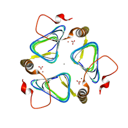 BU of 8gpp by Molmil