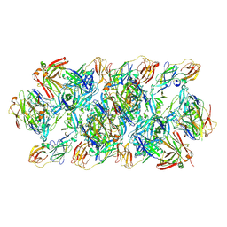 BU of 8gpu by Molmil