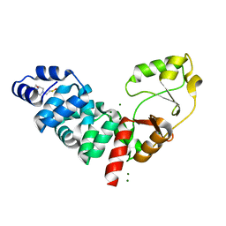 AU of 8gpv by Molmil