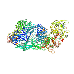 BU of 8gs2 by Molmil