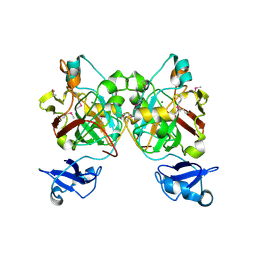 BU of 8gsr by Molmil