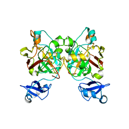 BU of 8gst by Molmil