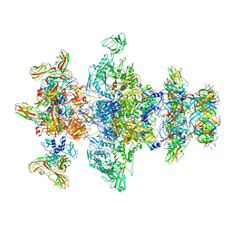 BU of 8gtc by Molmil