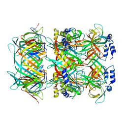 BU of 8gtf by Molmil