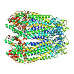 BU of 8gtt by Molmil