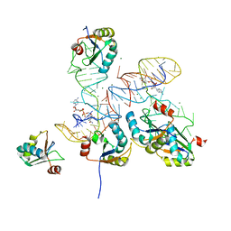 BU of 8gxb by Molmil