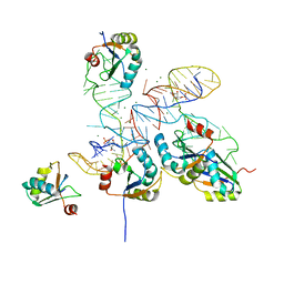 BU of 8gxc by Molmil