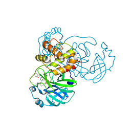 BU of 8gxg by Molmil