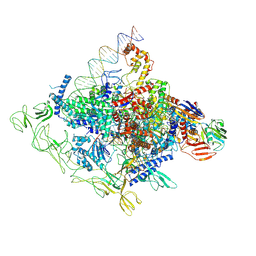 BU of 8gzh by Molmil