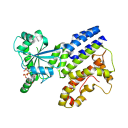 BU of 8h4m by Molmil