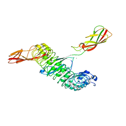 BU of 8h62 by Molmil