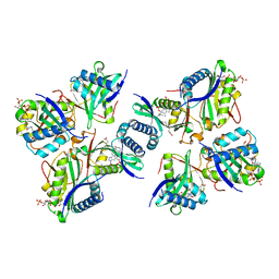 BU of 8h6d by Molmil