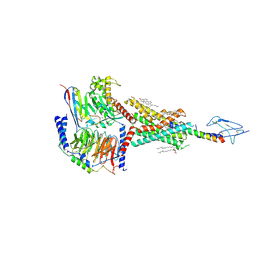 BU of 8ha0 by Molmil