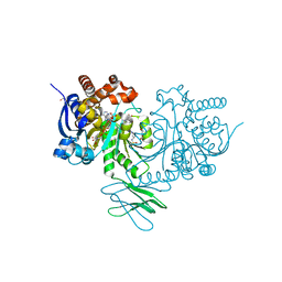 BU of 8hb9 by Molmil