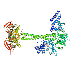 BU of 8hbh by Molmil