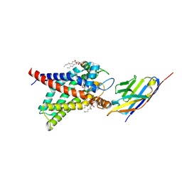 BU of 8hbv by Molmil