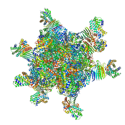 BU of 8hc1 by Molmil