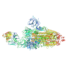 BU of 8hc2 by Molmil