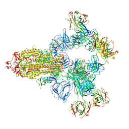 BU of 8hc4 by Molmil