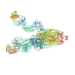 BU of 8hcb by Molmil