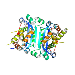 BU of 8hcd by Molmil