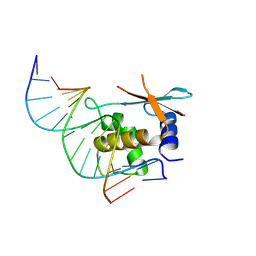 BU of 8hcm by Molmil