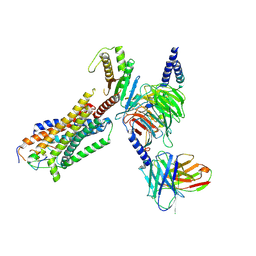 BU of 8hcq by Molmil