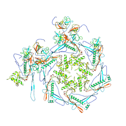 BU of 8hdt by Molmil