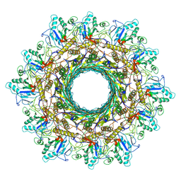 BU of 8hdw by Molmil