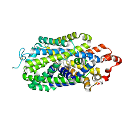 BU of 8hfi by Molmil