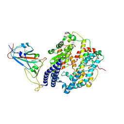 BU of 8hg0 by Molmil